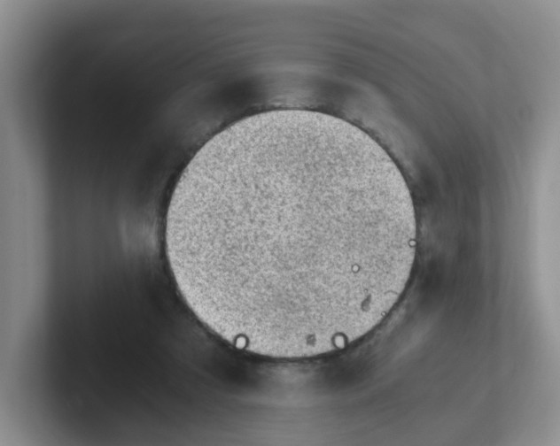 X0000102300305200808081550