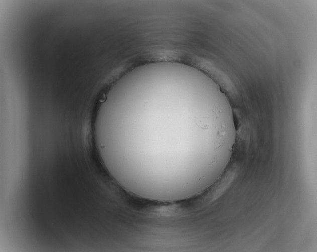 X0000102300306200808081550