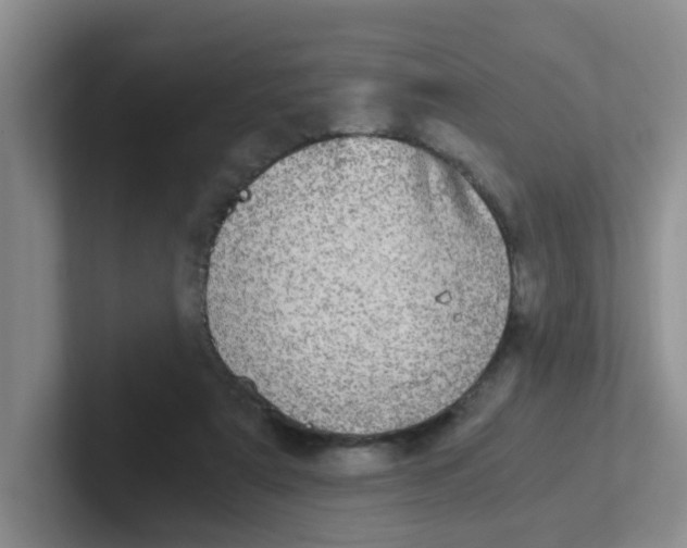 X0000102300307200808081550