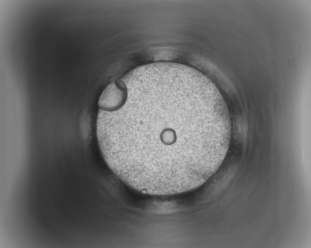 X0000102300311200808081550