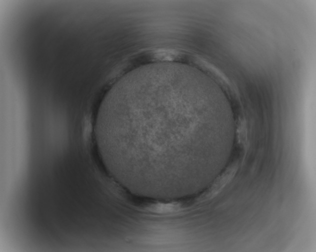 X0000102300314200808081550