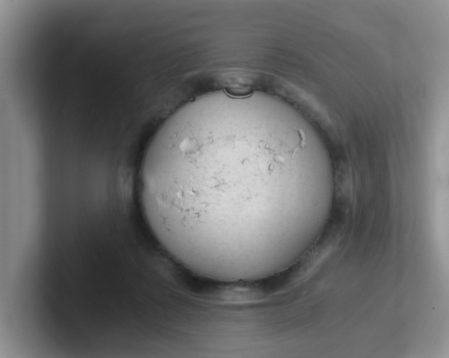 X0000102300315200808081550