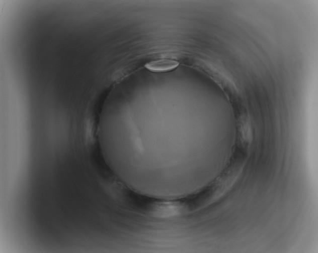 X0000102300316200808081550