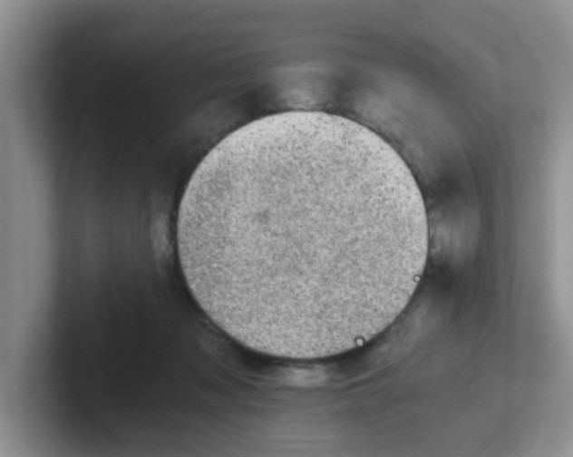 X0000102300317200808081550