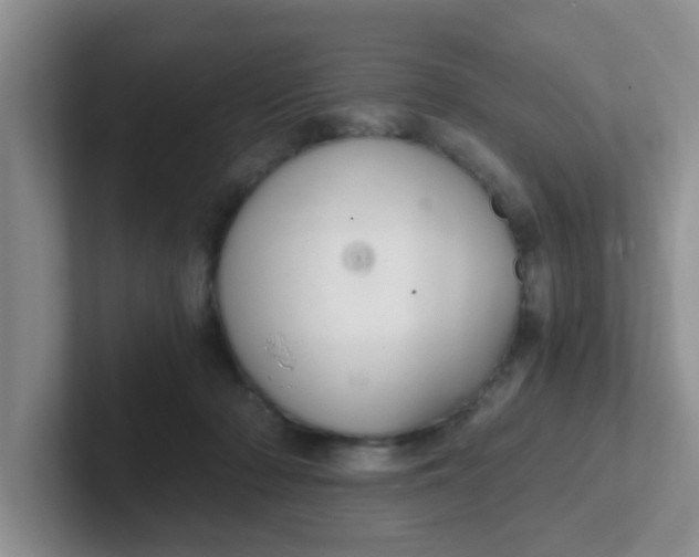 X0000102300318200808081550