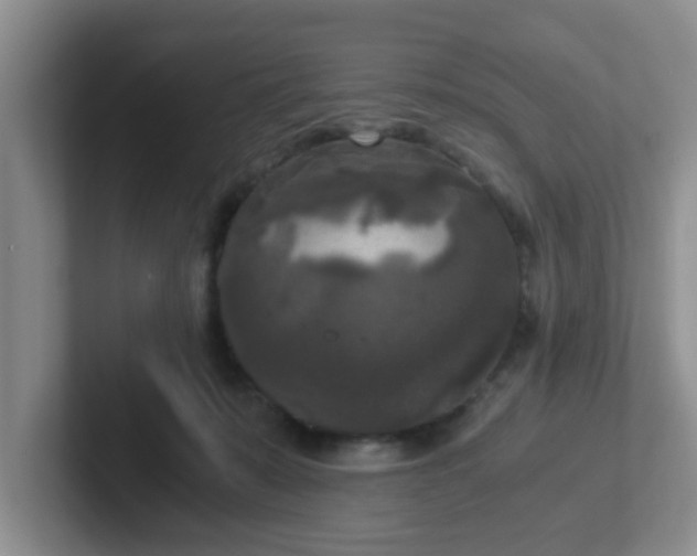 X0000102300319200808081550