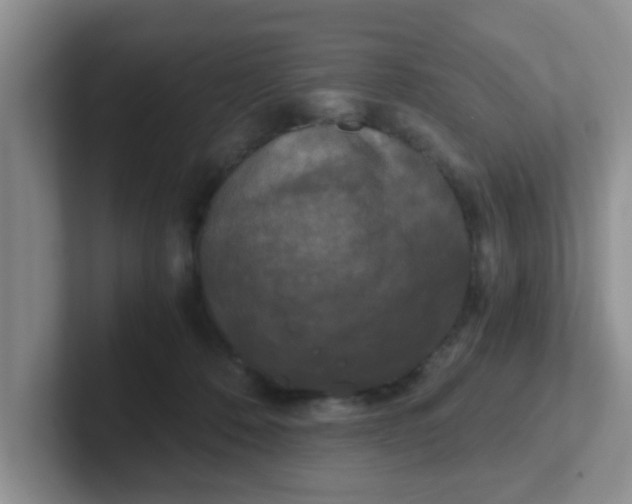 X0000102300320200808081550