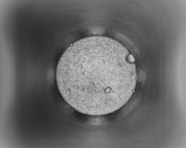 X0000102300321200808081550