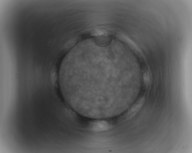 X0000102300322200808081550