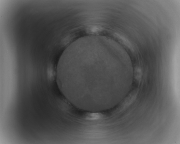 X0000102300324200808081550