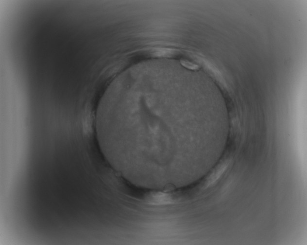 X0000102300325200808081550