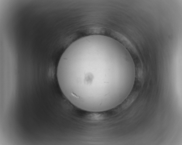 X0000102300326200808081550