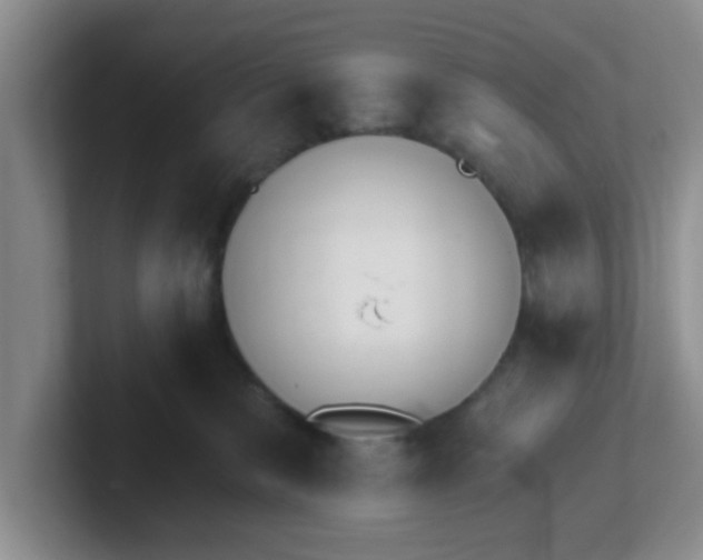 X0000102300327200808081550