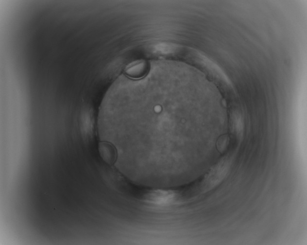 X0000102300328200808081550