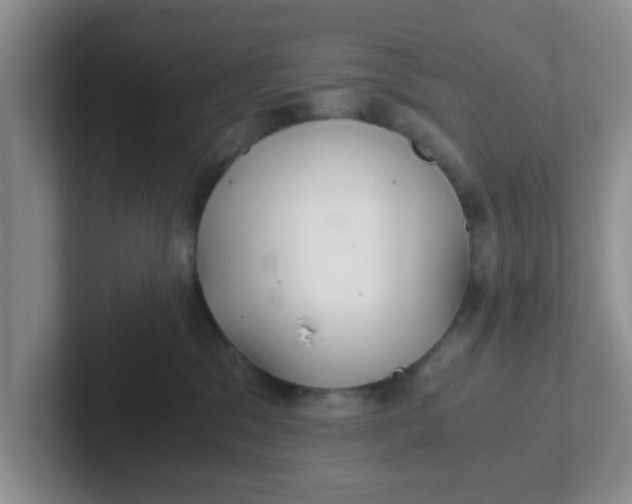 X0000102300329200808081550