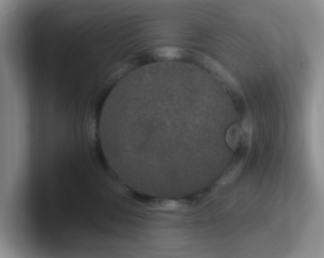 X0000102300330200808081550