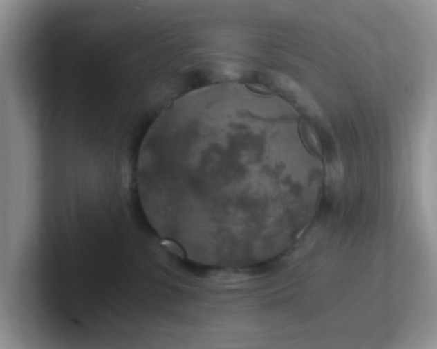 X0000102300331200808081550