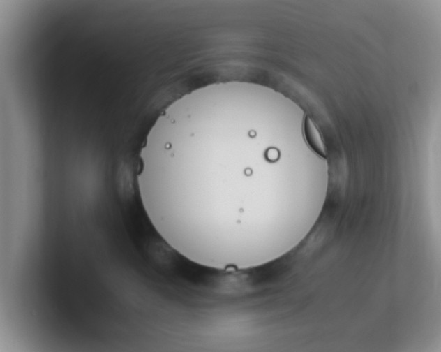 X0000102300333200808081550