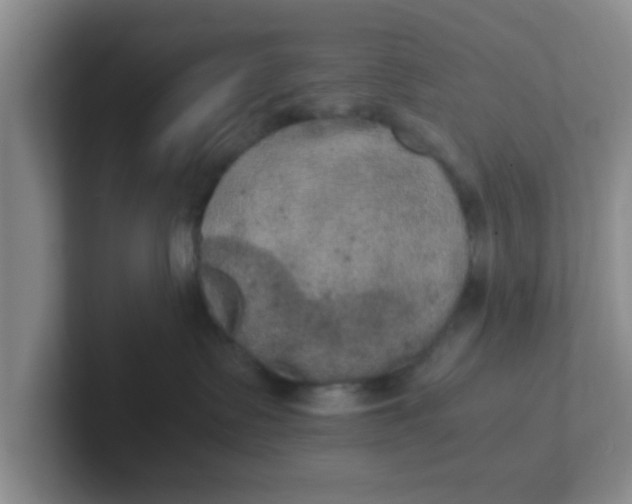 X0000102300335200808081550