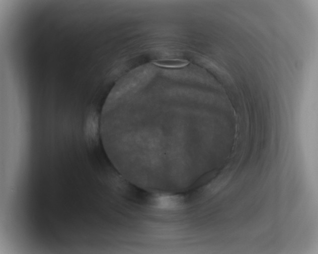 X0000102300336200808081550