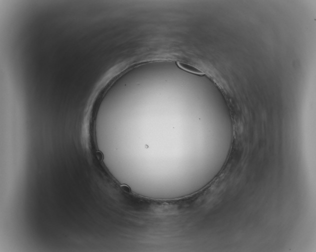 X0000102300340200808081549