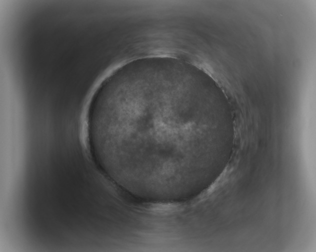 X0000102300342200808081549