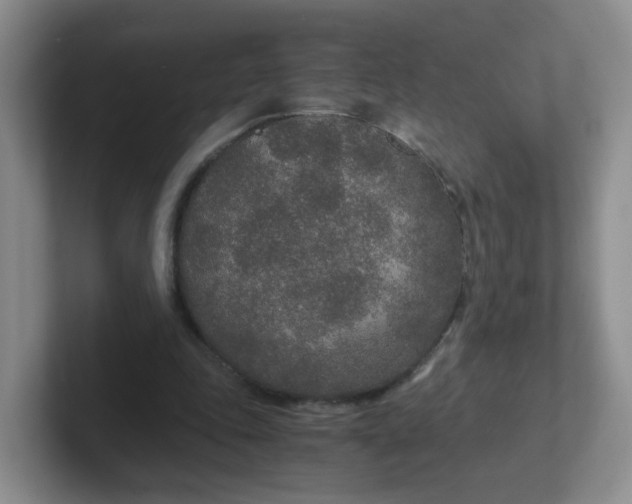 X0000102300343200808081549