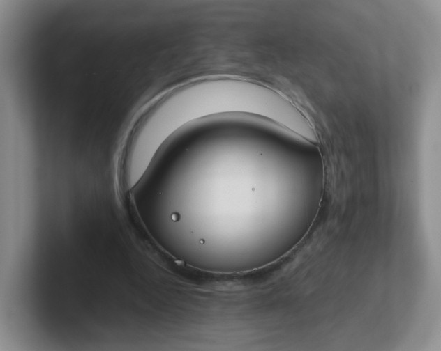 X0000102300344200808081549