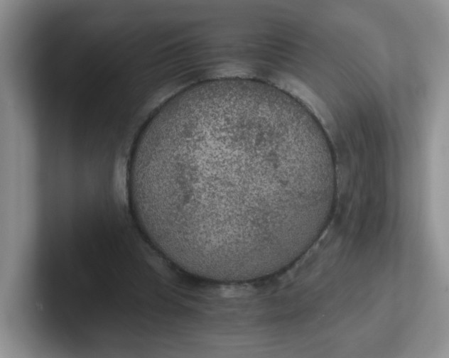 X0000102300345200808081549