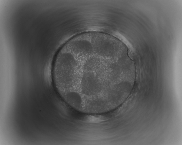 X0000102300346200808081549