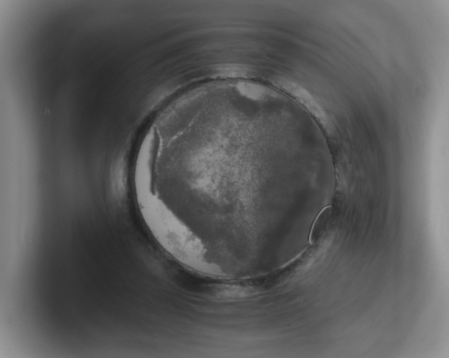 X0000102300347200808081549