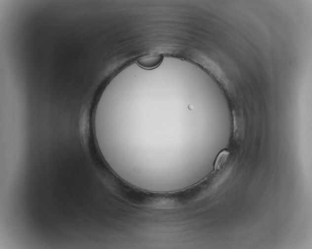 X0000102300348200808081549