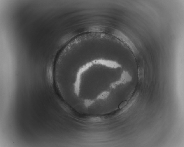 X0000102300349200808081549