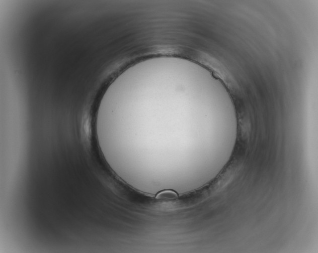 X0000102300350200808081549