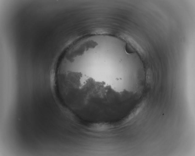 X0000102300351200808081549