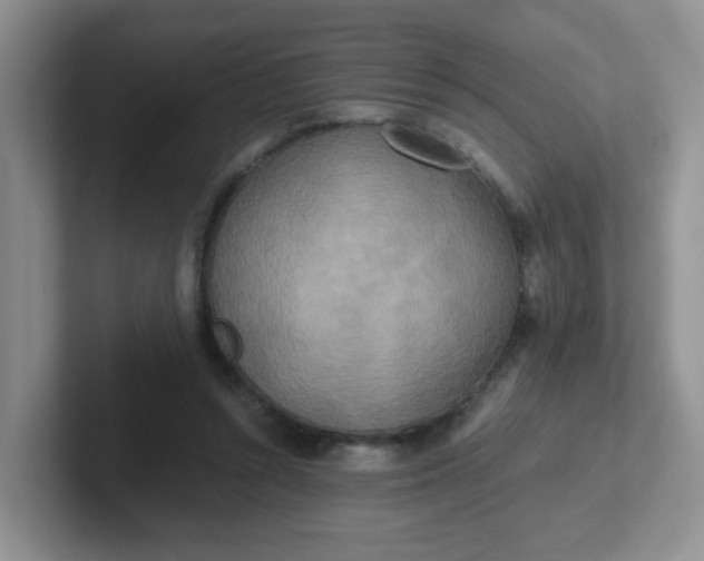 X0000102300352200808081549