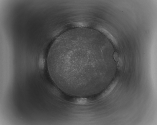 X0000102300355200808081549