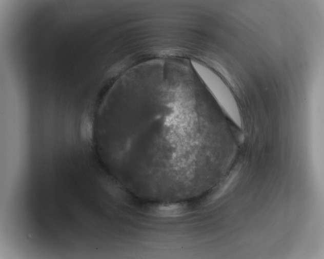 X0000102300357200808081549