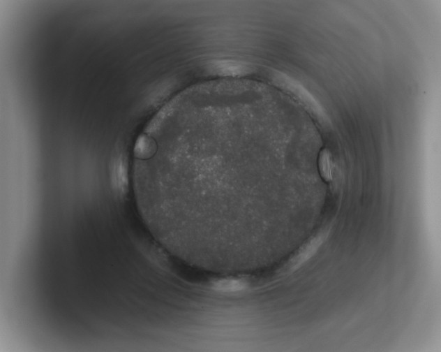 X0000102300358200808081549