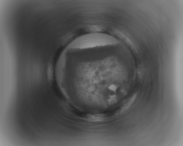 X0000102300359200808081549