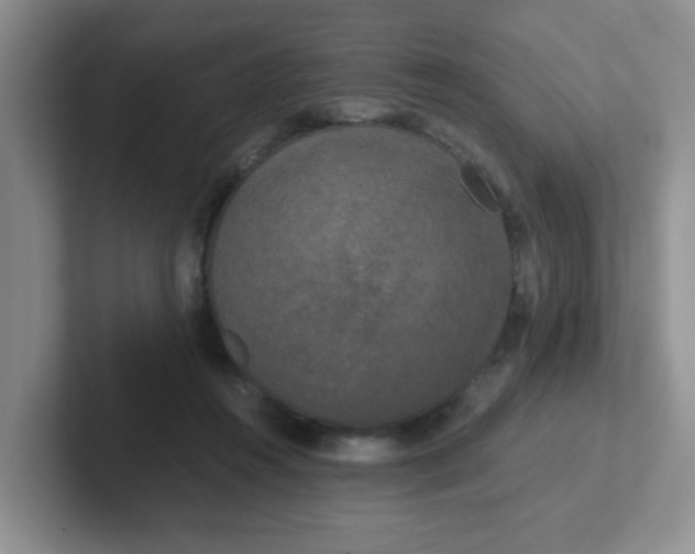 X0000102300360200808081549