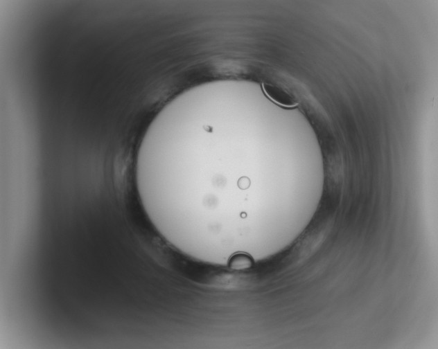 X0000102300364200808081549