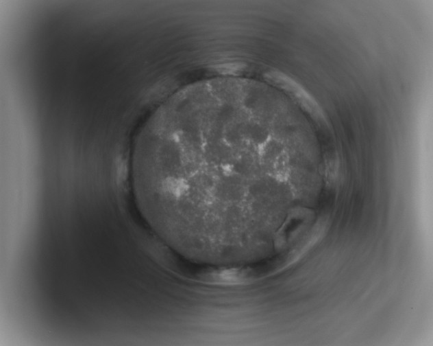 X0000102300365200808081549