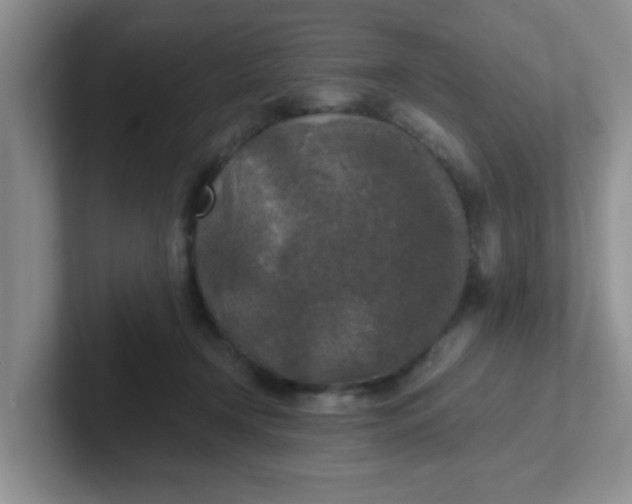 X0000102300366200808081549