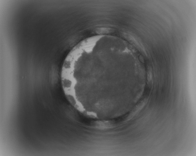 X0000102300367200808081549