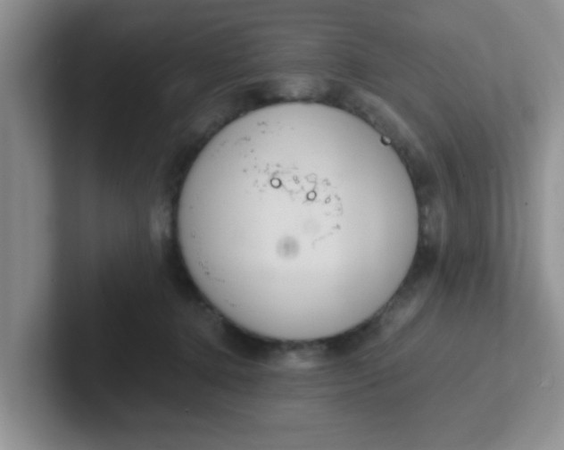 X0000102300368200808081549