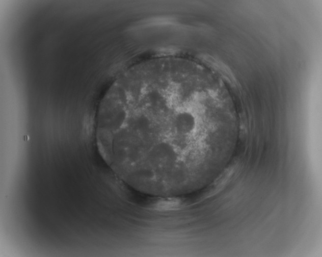 X0000102300369200808081549