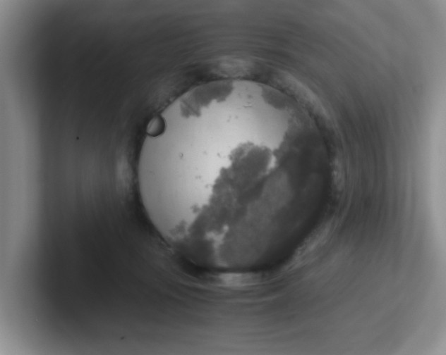 X0000102300371200808081549