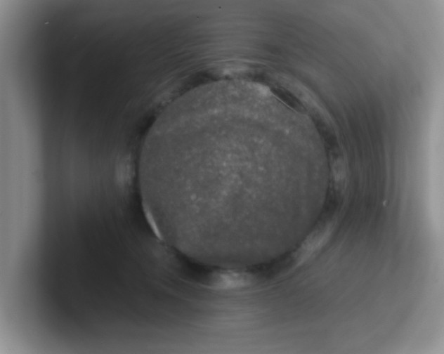 X0000102300372200808081549