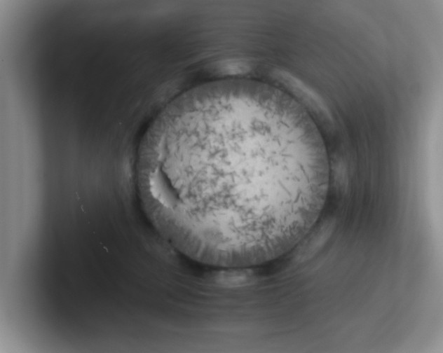 X0000102300373200808081549